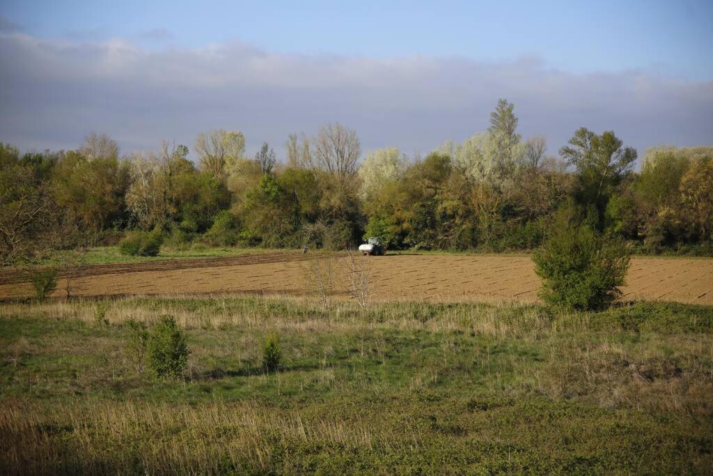 Domaine Villecarla Villedubert Zewnętrze zdjęcie