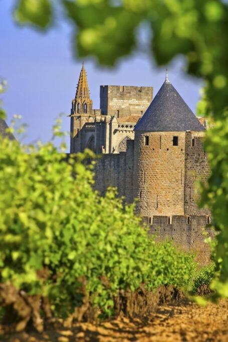 Domaine Villecarla Villedubert Zewnętrze zdjęcie